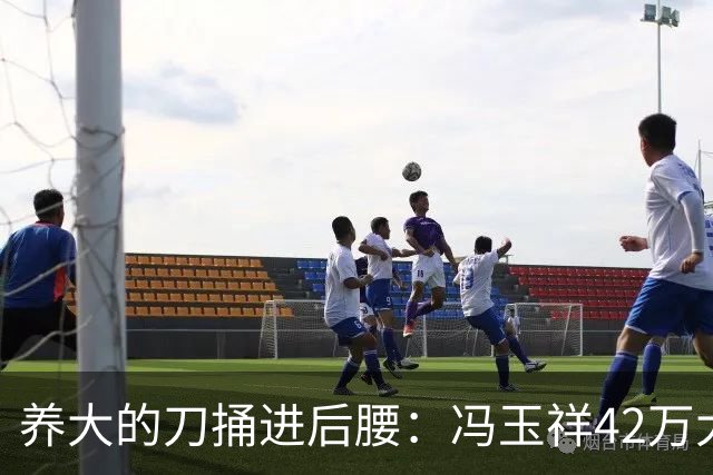养大的刀捅进后腰：冯玉祥42万大军散伙那天，他才看清自己写的账本