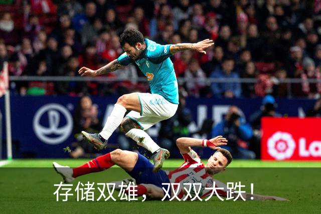 存储双雄，双双大跌！