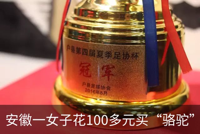 安徽一女子花100多元买“骆驼”冲锋衣，收到货一看，logo竟是一头咧着嘴笑的驴！有人质疑这是擦边，商家：商标已注册，不要只看图片外观
