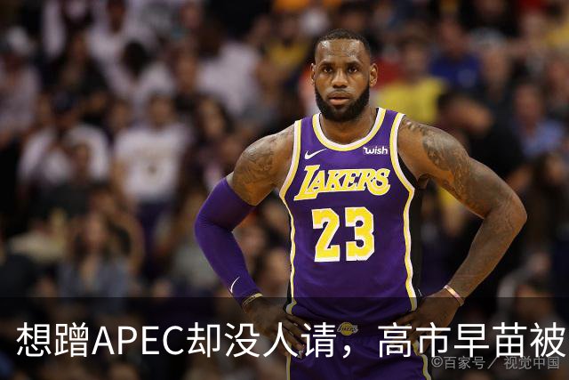 想蹭APEC却没人请，高市早苗被晾一边，台阶找得太滑稽