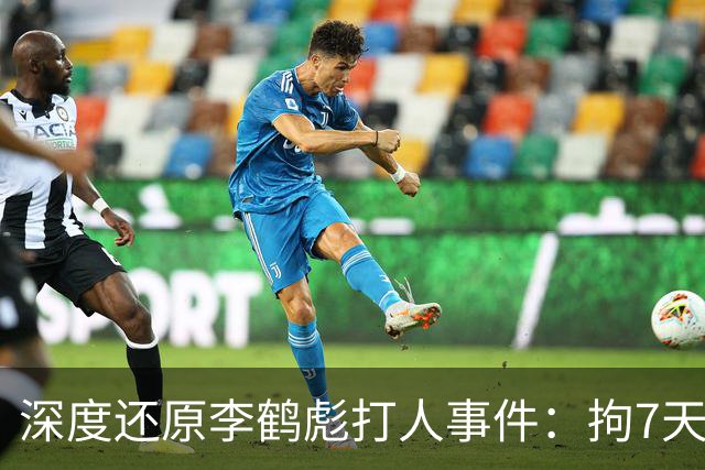 深度还原李鹤彪打人事件：拘7天，何云伟曹云金出走，他却被重用