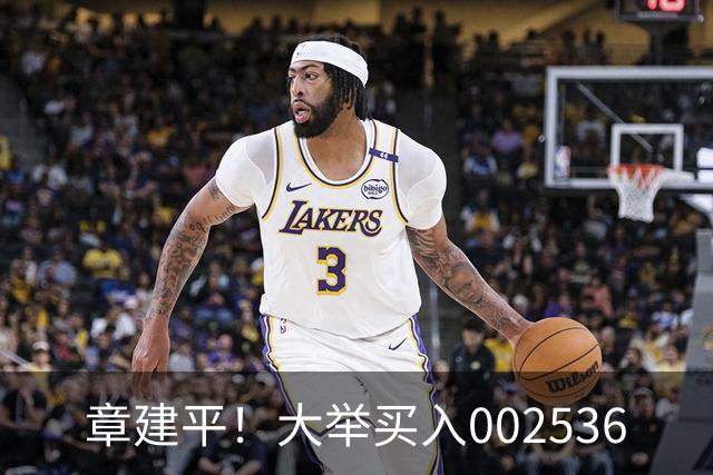 章建平！大举买入002536