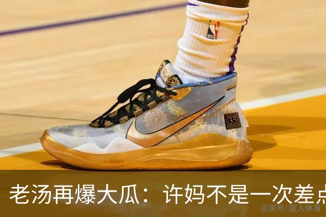 老汤再爆大瓜：许妈不是一次差点儿被带走