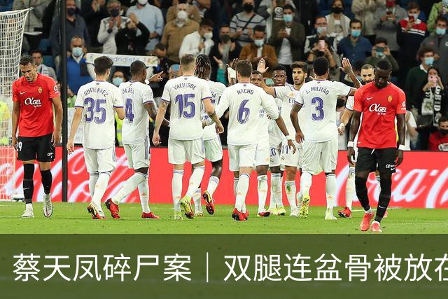 蔡天凤碎尸案｜双腿连盆骨被放在冰箱内，政府化验师形容“骨上面有点肉”