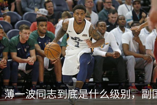 薄一波同志到底是什么级别，副国级？还是正国级？