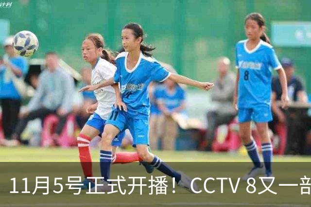 11月5号正式开播！CCTV 8又一部好剧来袭，主角配角我都很喜欢
